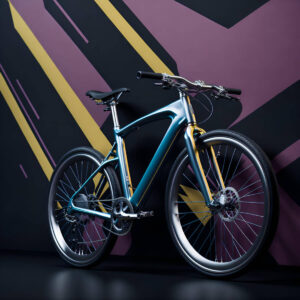 COCONET-US Street Bike – special edition