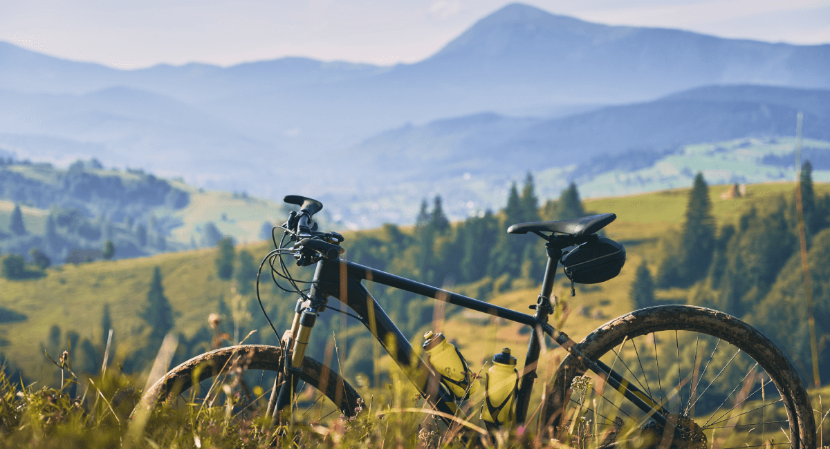 Read more about the article Mountain Bikes